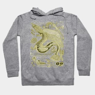 EgertronPuck's Snallygaster Anatomy Illustration Hoodie